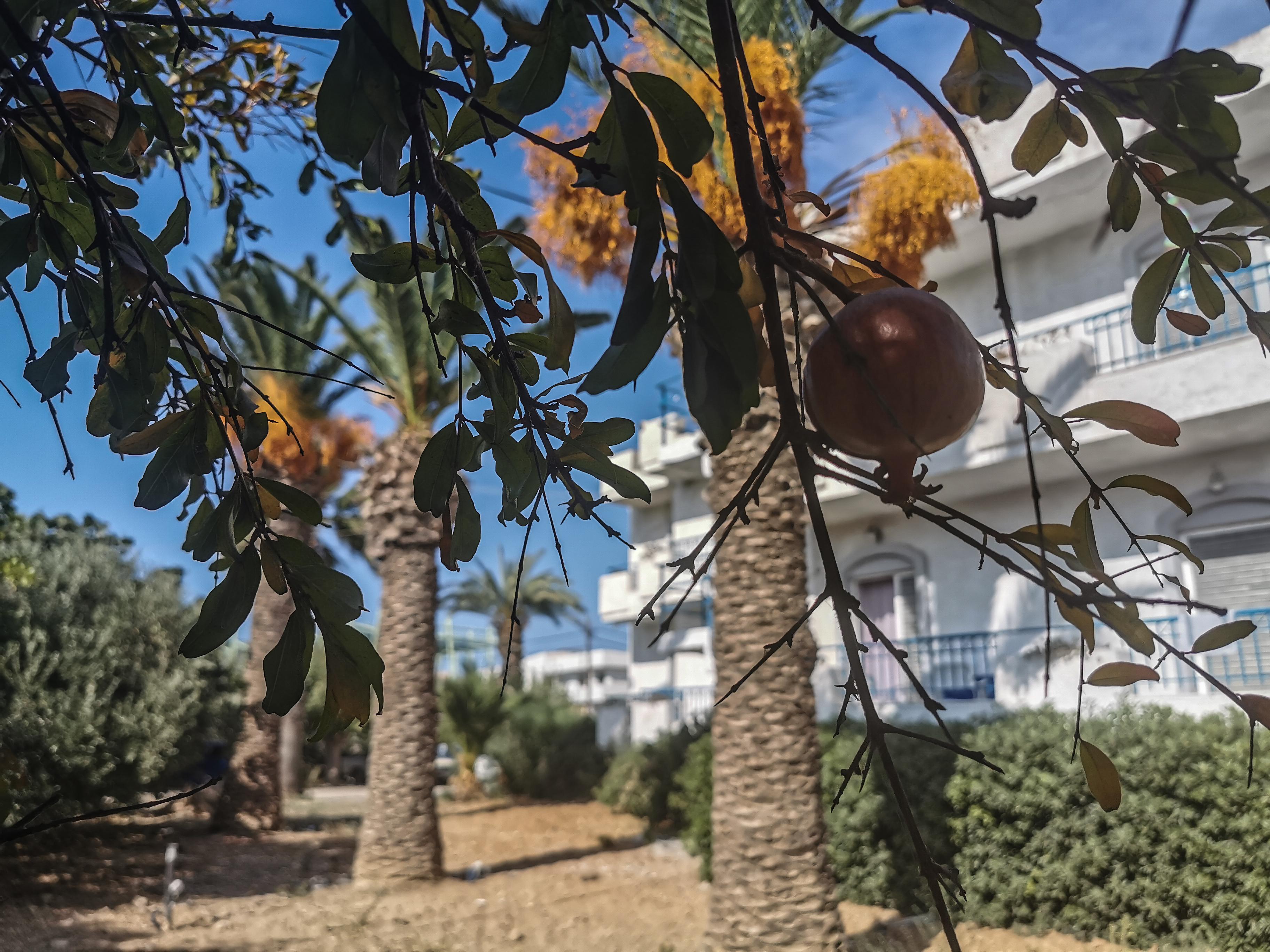 Gorgona Hotel Amoudara Lasithiou Exteriér fotografie